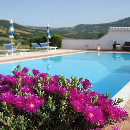 Agriturismo Il Cavallino Saturnia Semproniano Extérieur photo