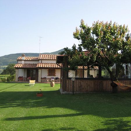 Agriturismo Il Cavallino Saturnia Semproniano Extérieur photo