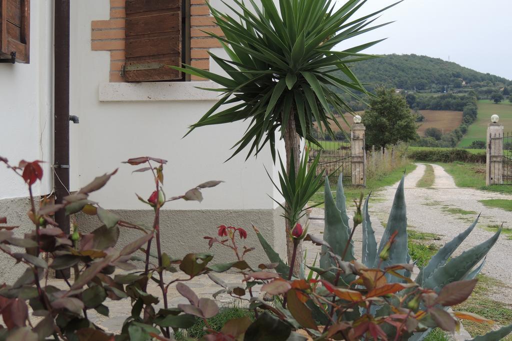 Agriturismo Il Cavallino Saturnia Semproniano Extérieur photo